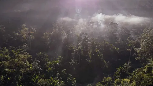 bestcelebgirls.com: naked in kwaio tribe (full movie)