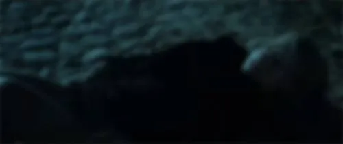 bestcelebgirls.com: frederikke dahl hansen naked in bundfaeldet