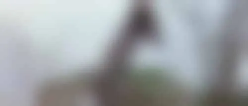 bestcelebgirls.com: rae dawn chong naked in la guerre du feu ( also known as