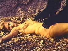 the beast and the vixens / the beauties and the beast - jacqueline giroux