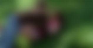 die unerzogenen / the unpolished / trop libre - ceci chuh