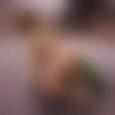 bestcelebgirls.com exclusive 3d sarah nude teen, exclusive young 3d teen girl, 3dcg teen, SFM teen girl