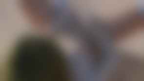 bestcelebgirls.com exclusive 3d celina nude teen, exclusive young 3d teen girl, 3dcg teen, SFM teen girl