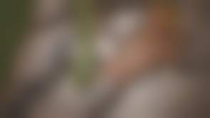 bestcelebgirls.com exclusive 3d marie rose nude teen, exclusive young 3d teen girl, 3dcg teen, SFM teen girl